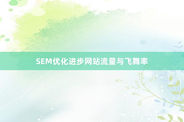 SEM优化进步网站流量与飞舞率